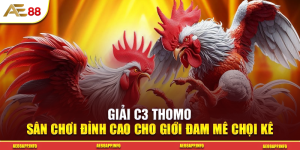 Giải C3 Thomo – Sân Chơi Đỉnh Cao Cho Giới Đam Mê Chọi Kê