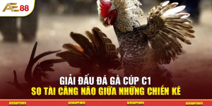 Giải Đấu Đá Gà Cúp C1 So Tài Căng Não Giữa Những Chiến Kê