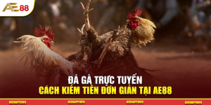 Đá Gà Trực Tuyến – Cách Kiếm Tiền Đơn Giản Tại AE88